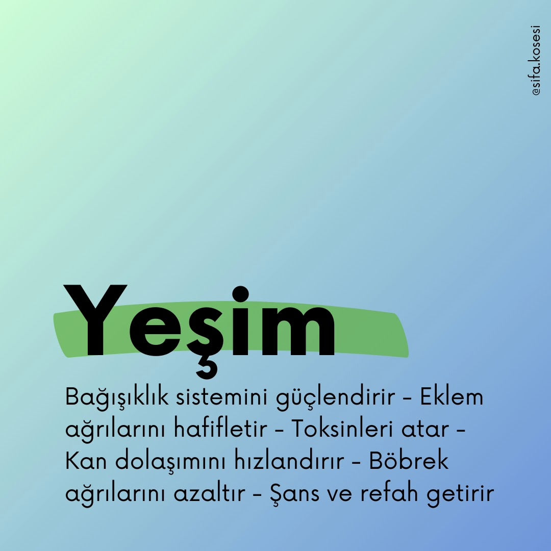 Kanada Yeşim ve Yeşil Ceyt Orjinal Doğal Taş Kadın ve Erkek Bileklik / Ağrılara karşı etkili, Şans, Gençlik ve Enerji Bilekliği - 18 cm Standart Bileklik Ebadı